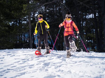 Itinéraire piéton raquettes  : La Piste Blanche
