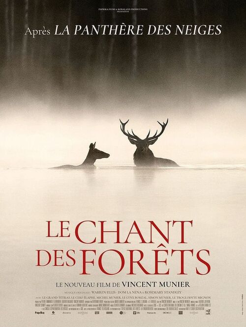 Projection : Le chant des forêts
