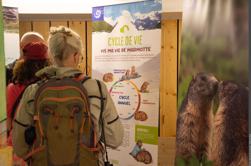 Exposition La Tribu des Marmottes (hiver)