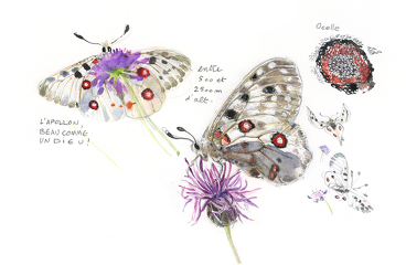 © Nature de flûtes - concert et aquarelle I Rendez-vous Nature en Savoie_Val-Cenis - Julie Litty-Wintz