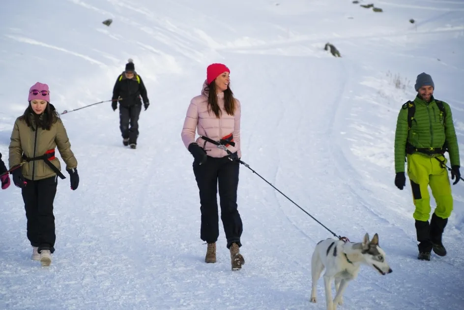 © Husky Adventure chiens de traineau à Val Cenis - Caron Christophe
