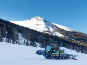 Nature &amp; Ski - Energy Savings on Grooming