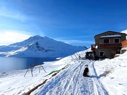 Toët Shelter