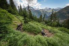 © Descente blue cheese - A Pernet