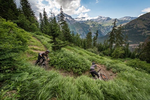 VTT Enduro : Blue Cheese