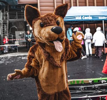 "Escargot" Disco avec Flambeau