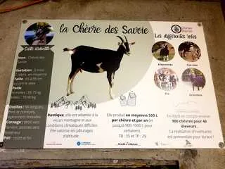 © Visite de la P'tite Ferme d'Antho à Val Cenis-Lanslebourg - A.Jorcin