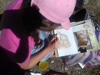 © Stage d'initiation à l'aquarelle - Christine Jumelle