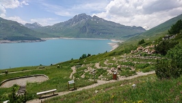 © Le Jardin Alpin du Mont-Cenis_Val-Cenis - JF Durand