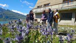 © Le Jardin Alpin du Mont-Cenis_Val-Cenis - JF Durand