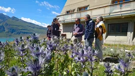 © De alpentuin van Le Mont-Cenis_Val-Cenis - JF Durand