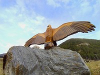 © Explorer Termignon à Pied : ETAP 2 - Au fil du Doron à Val Cenis - C.Vair