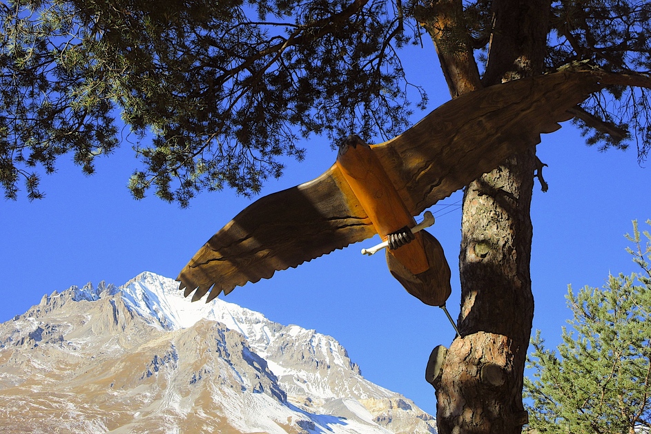 © Explorer Termignon à pied : ETAP 3 - La forêt du Belvédère_Val-Cenis - C.Vair