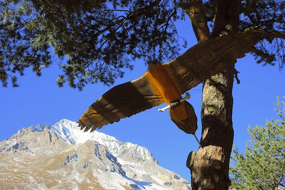 © Explore Termignon on foot: STAGE 3 - The Belvedere Forest_Val-Cenis - C.Vair
