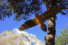 © Explorer Termignon à pied : ETAP 3 - La forêt du Belvédère_Val-Cenis - C.Vair