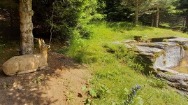 © Explorer Termignon à pied : ETAP 3 - La forêt du Belvédère_Val-Cenis - C.Vair