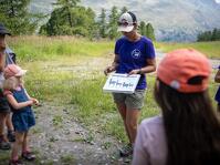 © Balade ressourçante au rythme des alpagas_Val-Cenis - D.Cuvelier - OTHMV