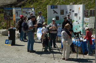 56 / 5 000 Vanoise National Park discovery stand - L'Ecot