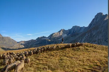 © Exposition "Le Pastoralisme en Vanoise"_Val-Cenis - PNV-Sébastien BREGEON