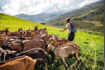 © Exposition "Le Pastoralisme en Vanoise"_Val-Cenis - PNV-Pierre WITT