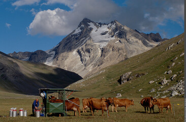 © Exposition "Le Pastoralisme en Vanoise"_Val-Cenis - PNV-Michel BOUCHE