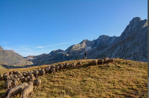Visite commentée de l'exposition "Le Pastoralisme en Vanoise"