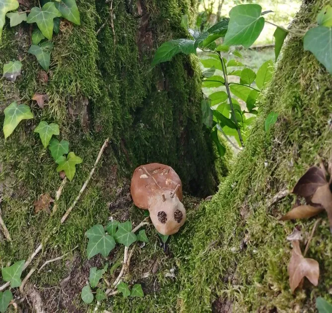 © Mon animal imaginaire à Val-Cenis-Bramans - C.Vigouroux