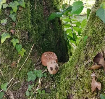Je crée mon animal imaginaire