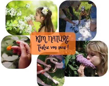 Jeu de kim nature