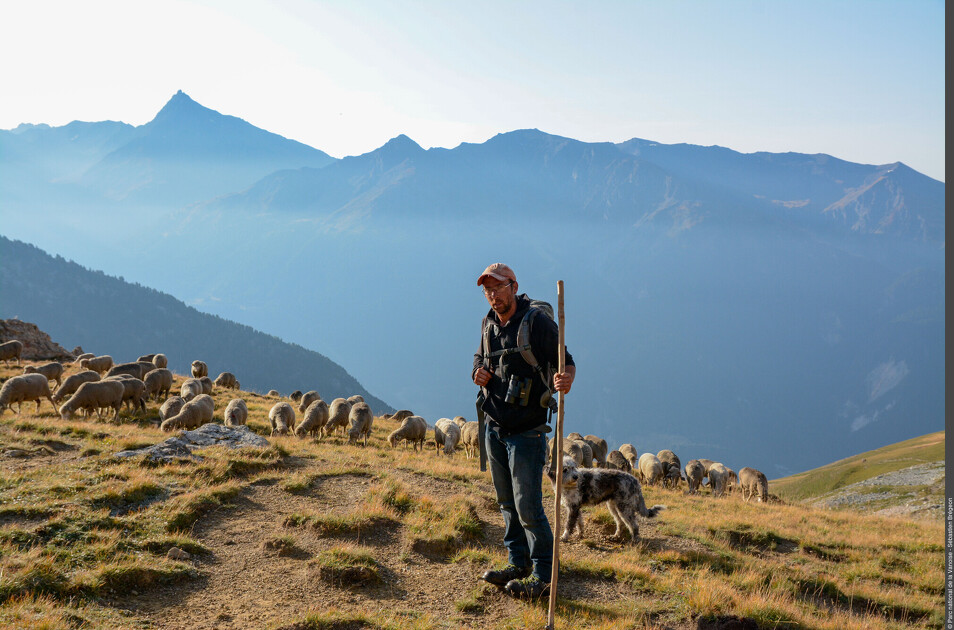 © Rencontres pasto_Val-Cenis - PARC NATIONAL VANOISE