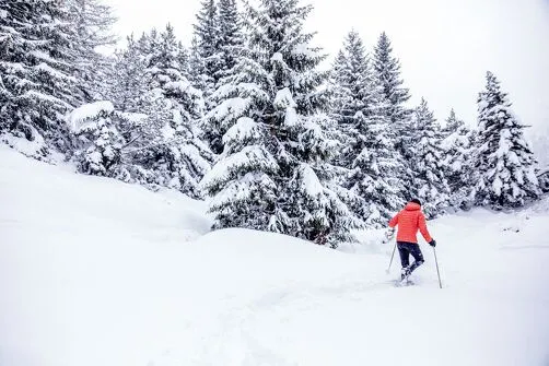 Jérôme Furbeyre - Accompagnateur en montagne