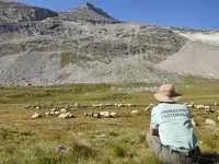 © Rencontres pasto_Val-Cenis - PN Vanoise