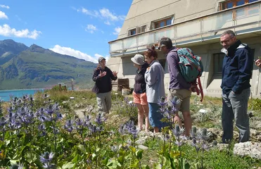 © Visite botanique "Une bouffée en montagne"_Val-Cenis - JF Durand