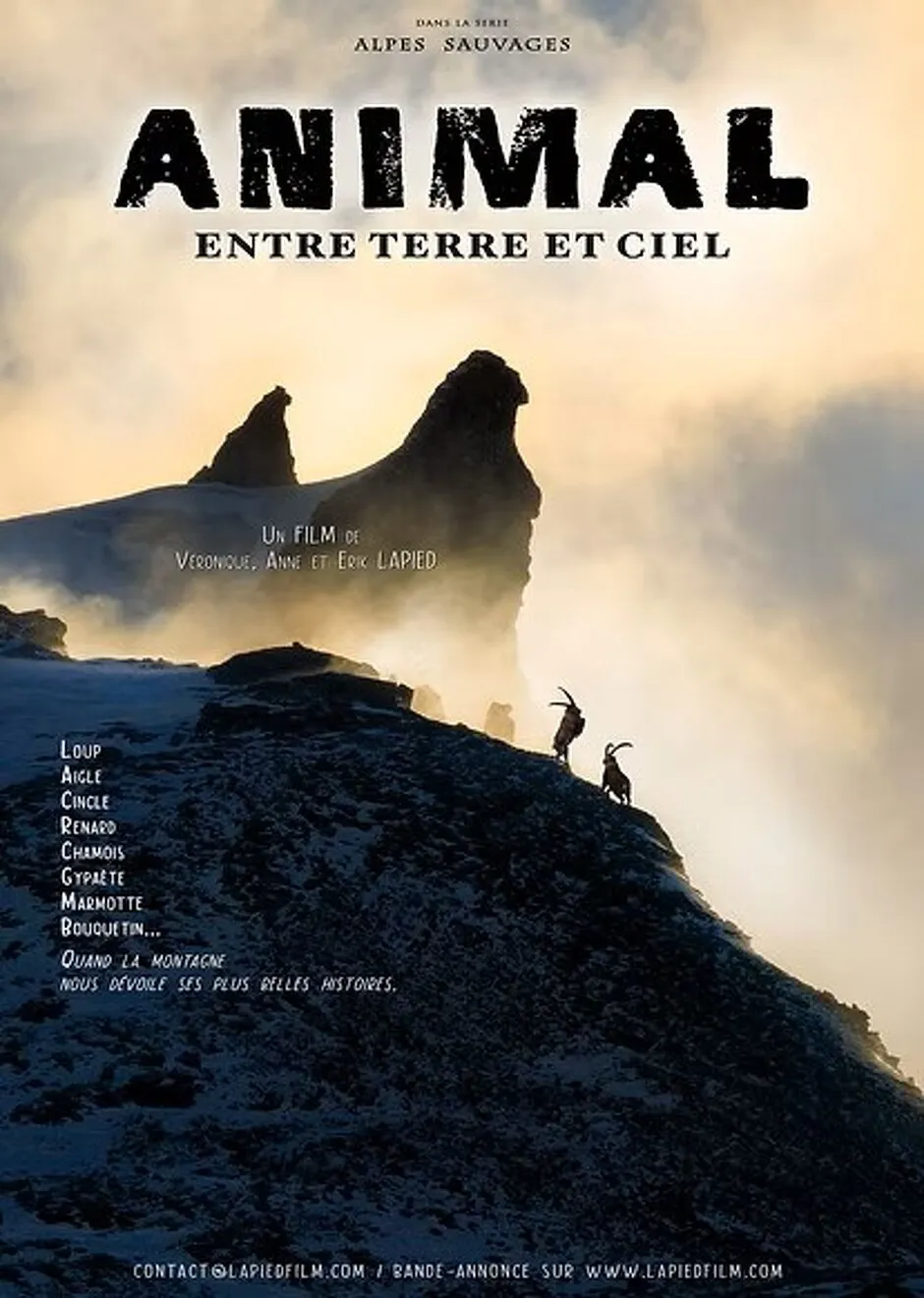 PROJECTION : Animal - Entre terre et ciel_Val-Cenis