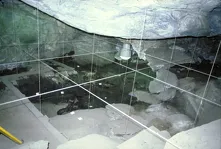 © Conférence : L'archéologie en Maurienne et les dernières découvertes - P. Benamour