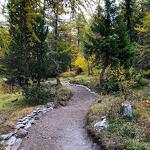 Espace VTT de Chantelouve - F. Dujardin