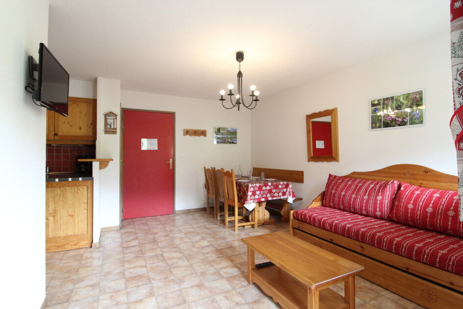 Bonheur Des Pistes - 3 pièces 6 personnes *** - BONB28M