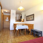 Pied De Pistes - 2 rooms 4 persons - PPA012