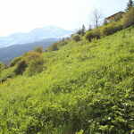 Presybille - Studio 3 personnes ** - PSY304