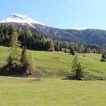 Valmonts