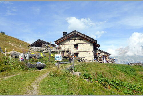 Les fromages de Montbas