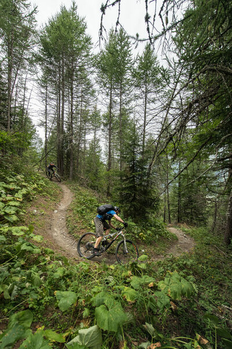© val-cenis-ete-VTT-blue-cheese 2 - A Pernet